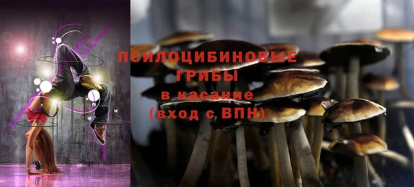 a pvp Арсеньев