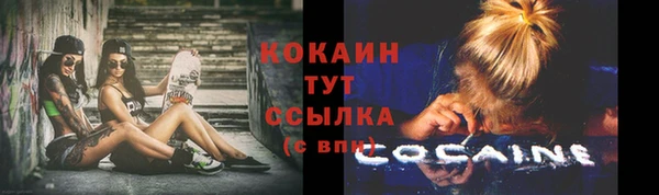 амф Аркадак