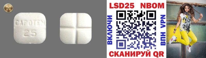 OMG Рыбное Лсд 25 экстази ecstasy